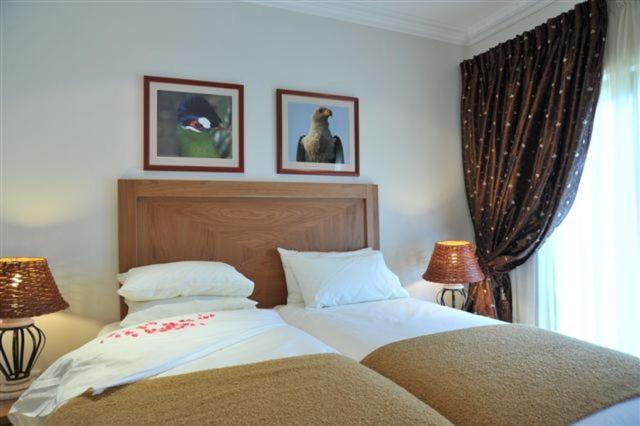 Hoyohoyo Chartwell Lodge Johannesburg Bagian luar foto